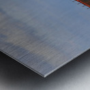 Walter J McCarthy Detail 2 091320 Metal print