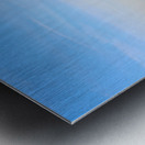 Wicky Spirit Detail 062622 Metal print