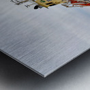 Wigeon Panorama 042520 Metal print