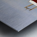 Cedarglen 061518 Metal print