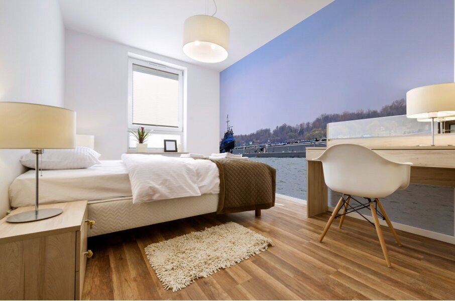 Spartan and Spartan II Mural print