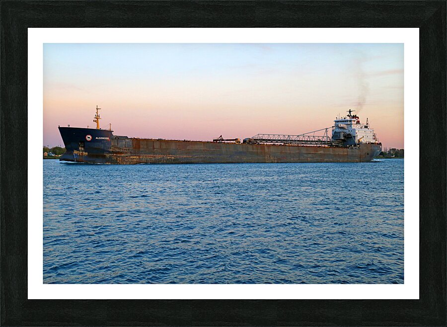 Algowood at Dusk 3 Picture Frame print