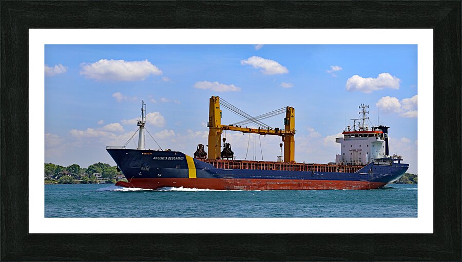 Argentia Desgagnes 053122 Picture Frame print