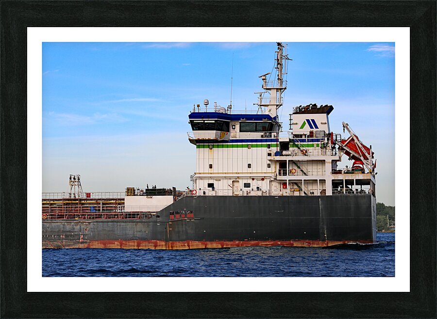 Wicky Spirit Detail 062622 Picture Frame print