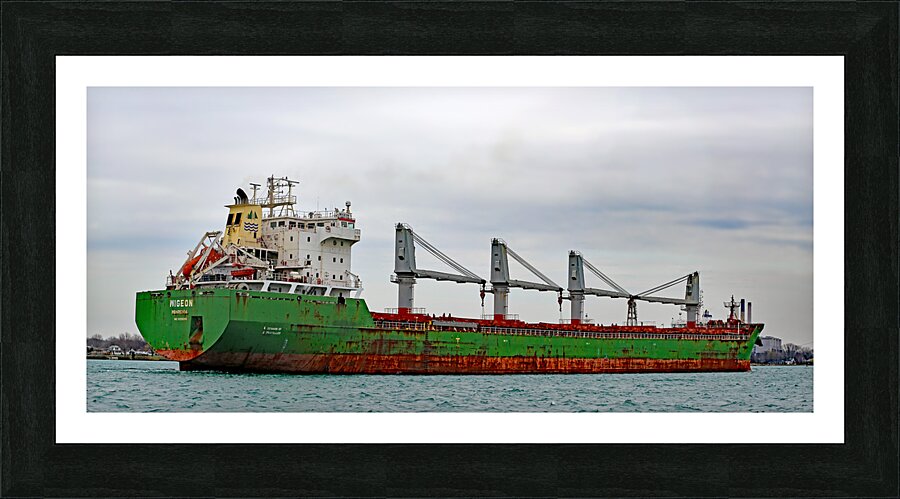 Wigeon Panorama 042520 Picture Frame print