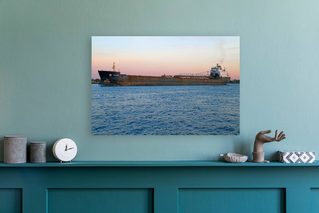 Algowood at Dusk 3 Reproduction