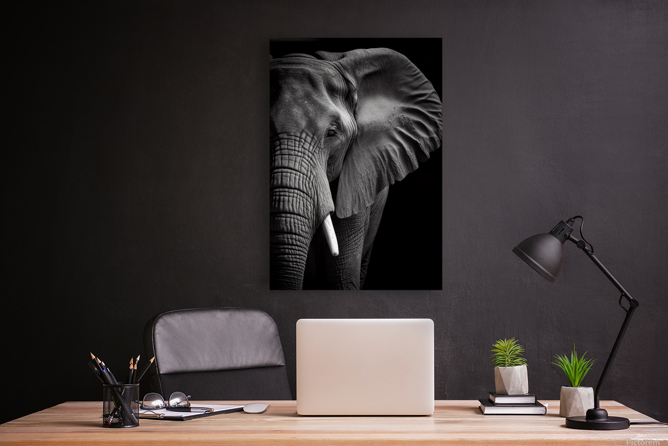 Elephan Reproduction