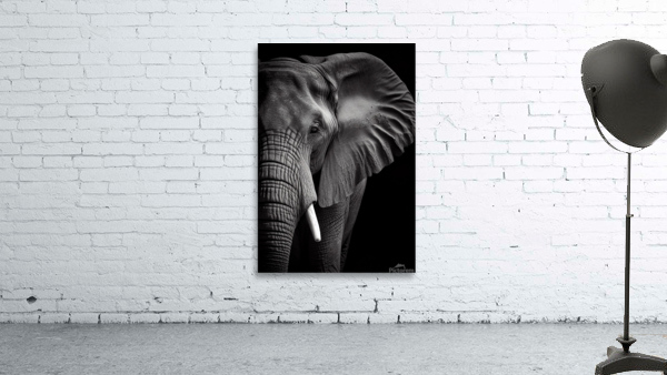 Elephan Wall Preview