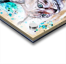 Ojo De Lince Acrylic print