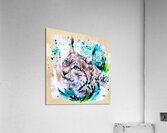 Ojo De Lince Acrylic Print