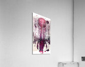 Naburiccon level 5 Acrylic Print