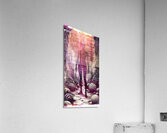 Naburiccon level 12 Acrylic Print