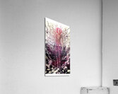 Naburiccon level 6 Acrylic Print