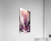 Naburiccon level 13 Acrylic Print