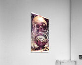 Naburiccon level 16 Acrylic Print