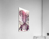 Naburiccon level 2 Acrylic Print