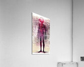 Naburiccon level 4 Acrylic Print