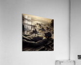 Fallen Mars vol 1 Acrylic Print