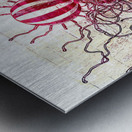 Naburiccon level 6 Metal print
