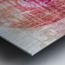 Naburiccon level 13 Metal print