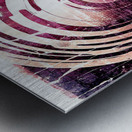 Naburiccon level 18 Metal print