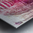 Naburiccon level 7 Metal print