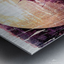 Naburiccon level 16 Metal print