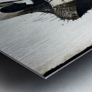 endurion six level 3 Metal print