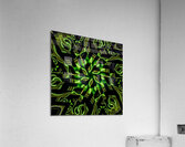 Majors  Acrylic Print