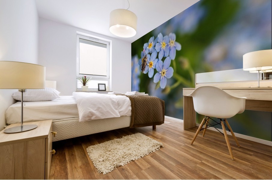 insect on the blue flowers Mural print