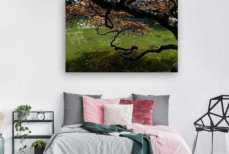 Twisted - Graceful Japanese Maple Branches Overwater by GeorgiaM