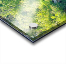 Boat Lake Creek Acrylic print