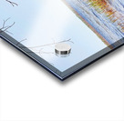 Boat Lake Acrylic print