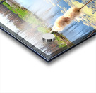 Penninsula Marsh Acrylic print