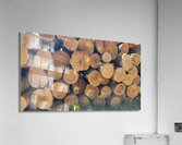 Winter Wood Acrylic Print