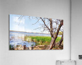 Boat Lake Acrylic Print