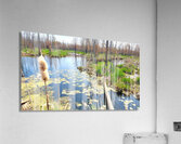 Penninsula Marsh Acrylic Print
