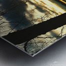 Georgian Bay Evening Metal print