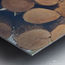 Winter Wood Metal print