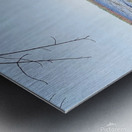 Boat Lake Metal print