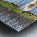 Penninsula Marsh Metal print