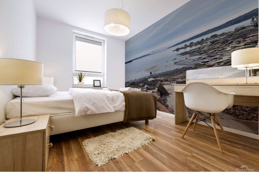 Georgian Bay Dcember Mural print