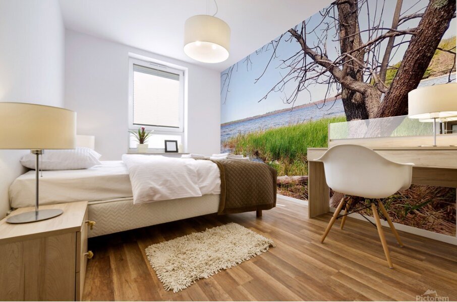 Boat Lake Mural print