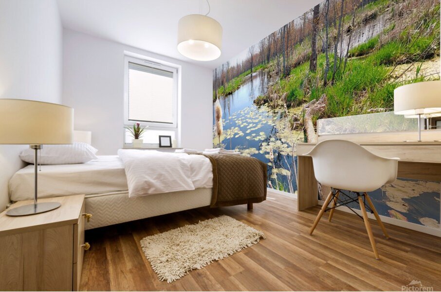 Penninsula Marsh Mural print