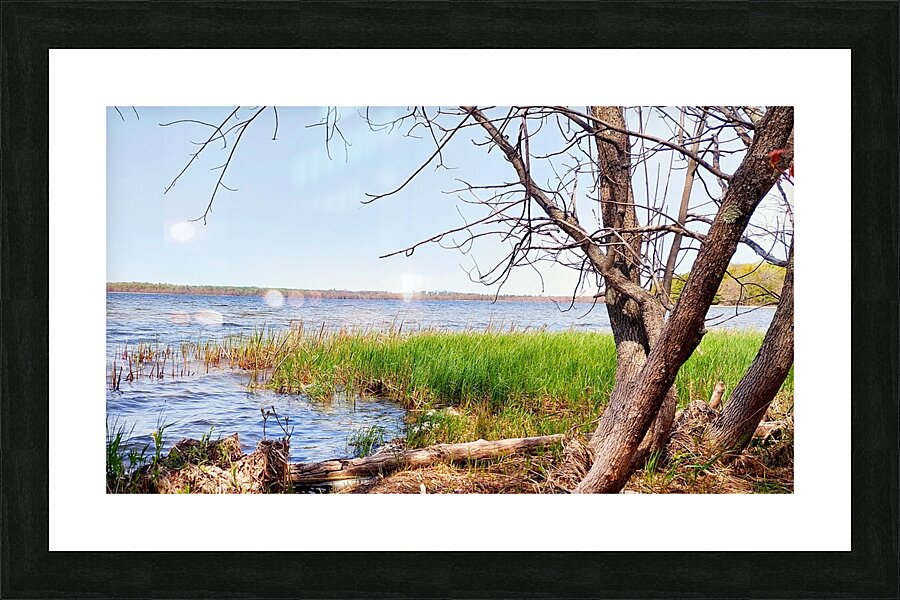 Boat Lake Picture Frame print