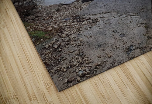 Pondering Marc Denis puzzle