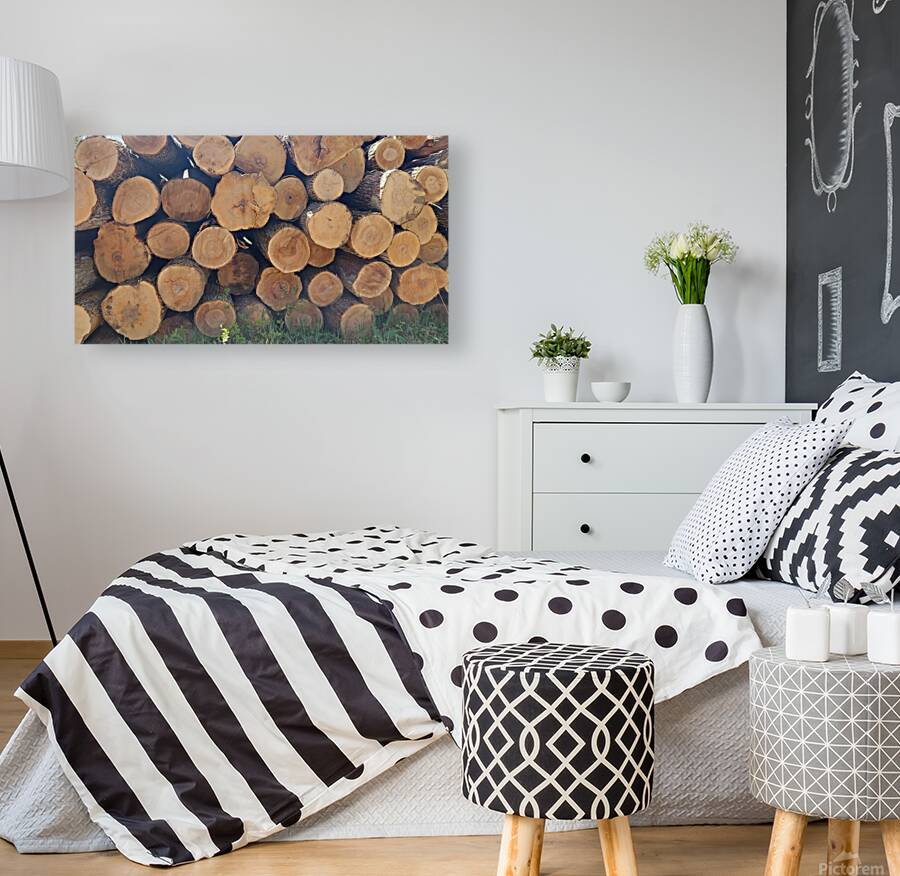 Winter Wood Reproduction