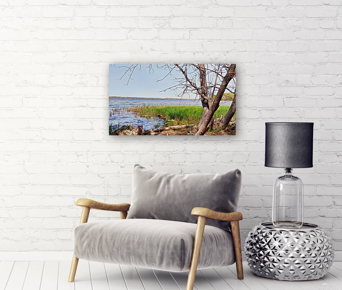 Boat Lake Reproduction