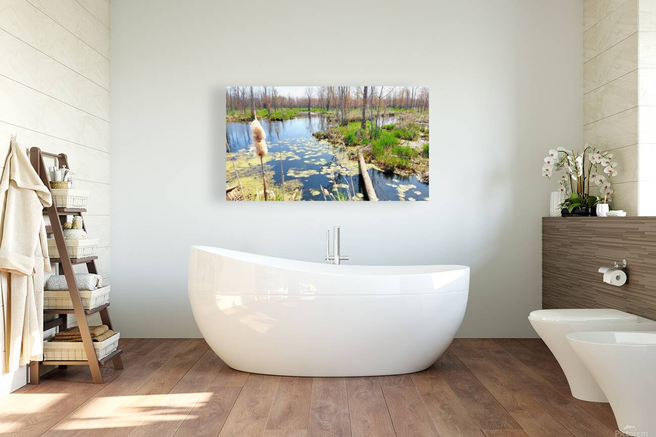 Penninsula Marsh Reproduction