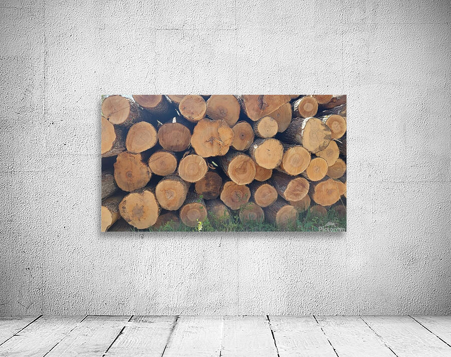 Winter Wood Wall Preview